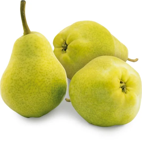 Pacham Pear