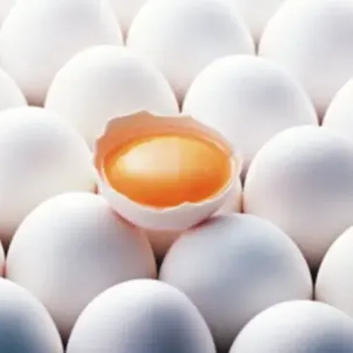 Egg C1 food