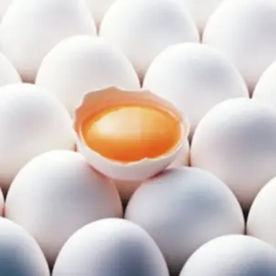 Яйцо С1 Пищевое 