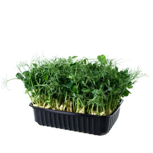 Micro-green peas 750 gr