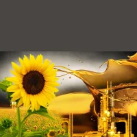 Sunflower oil RDV