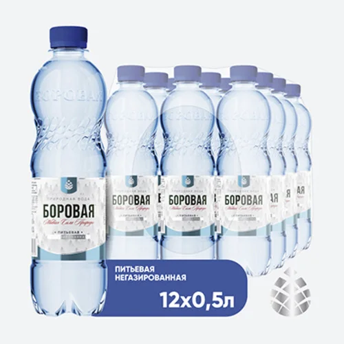 BOROVAYA (BOROVAYA) natural non-carbonated drinking water, 0.5l x 12 pcs