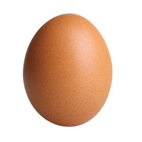 Chicken Egg Choice Vladimirovskoye