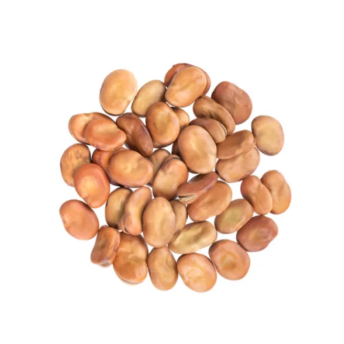 Dried horse (fava) beans
