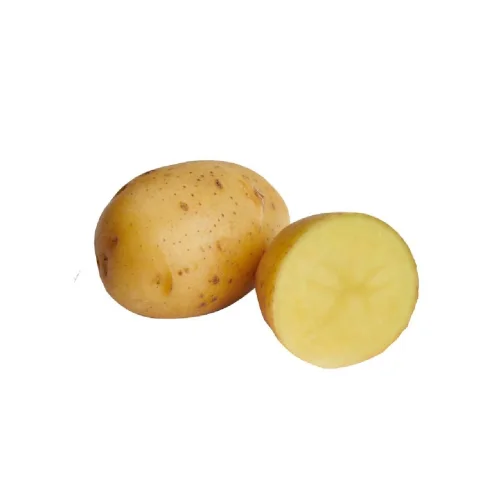 Seed potatoes "QUEEN ANNA"