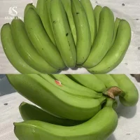 Свежие Бананы из Вьетнама