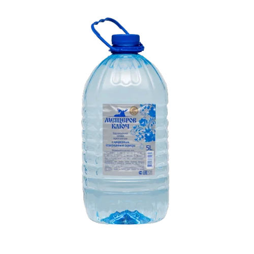 Non-carbonated water, 5.0 l. Meshcherov Key