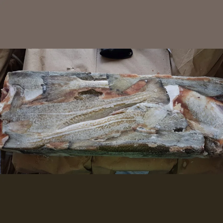 Atlantic fresh frozen cod wholesale