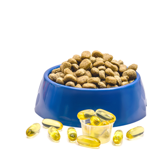 Vitamins, additives for dogs
