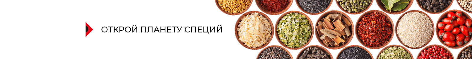 Global Spice
