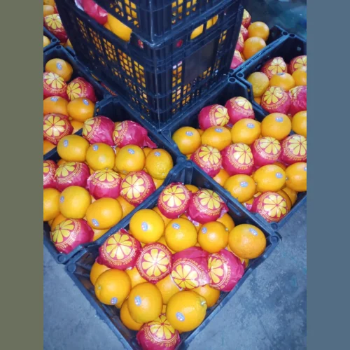 Апельсины Египет