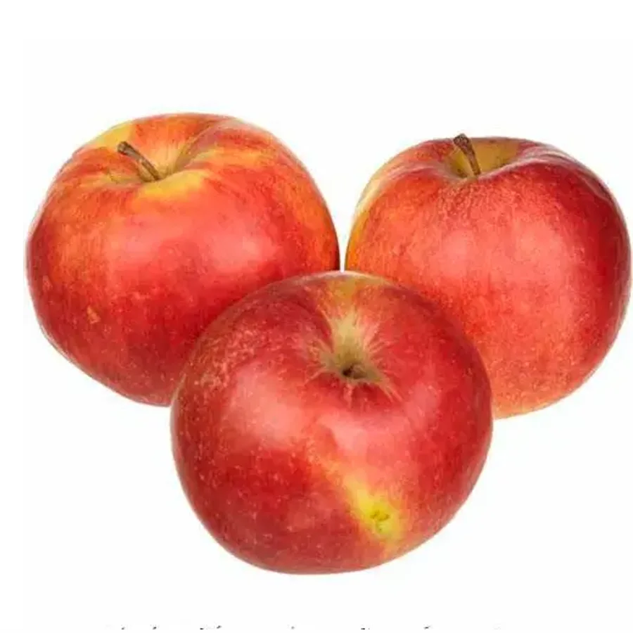 Apples Idared.