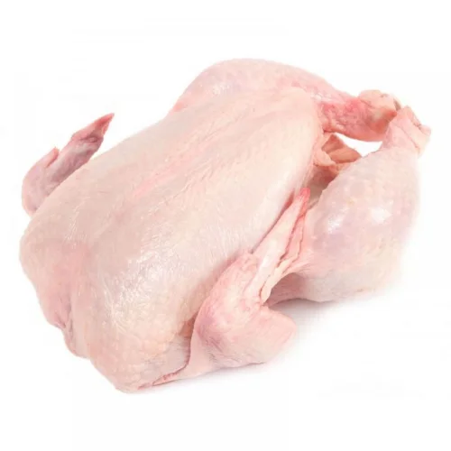 Chicken poultry meat