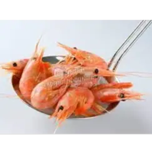 Shrimp 90/120