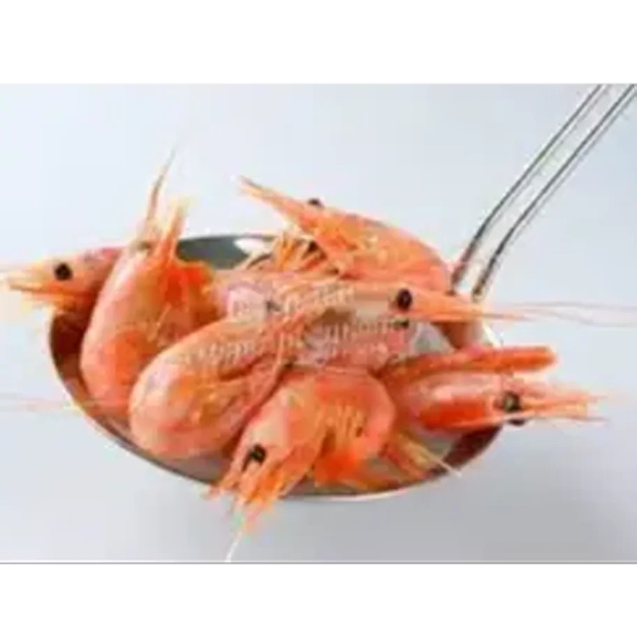 Shrimp 90/120