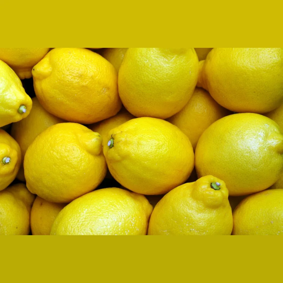 Лимон Свежий 