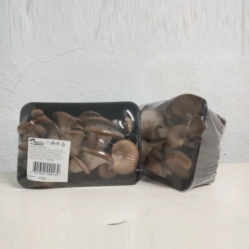 Mushrooms Veshinski