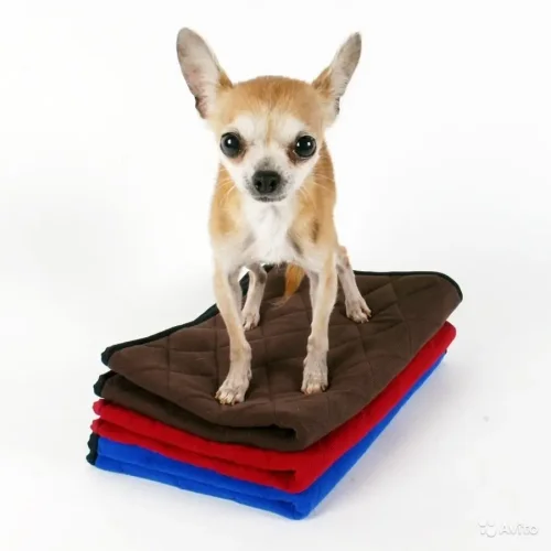 Reusable absorbent diaper for animals