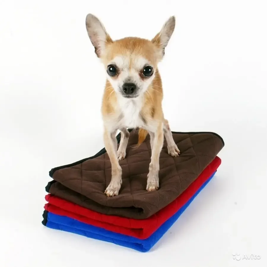 Reusable absorbent diaper for animals