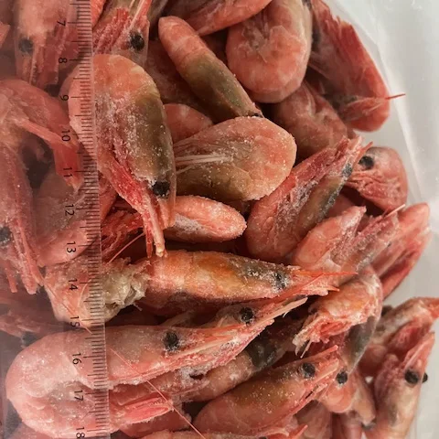 Shrimps