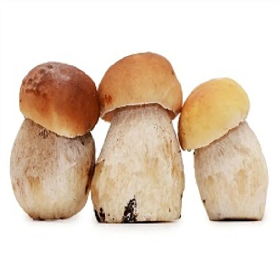 Whole white mushrooms 