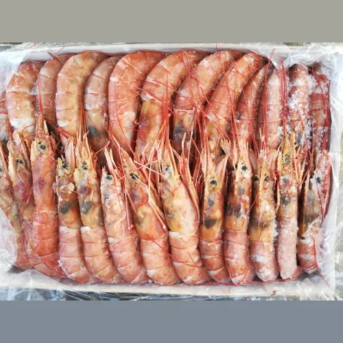 Shrimp Langustina