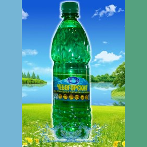 Природная вода "Чебогорская", газ, 0.6л