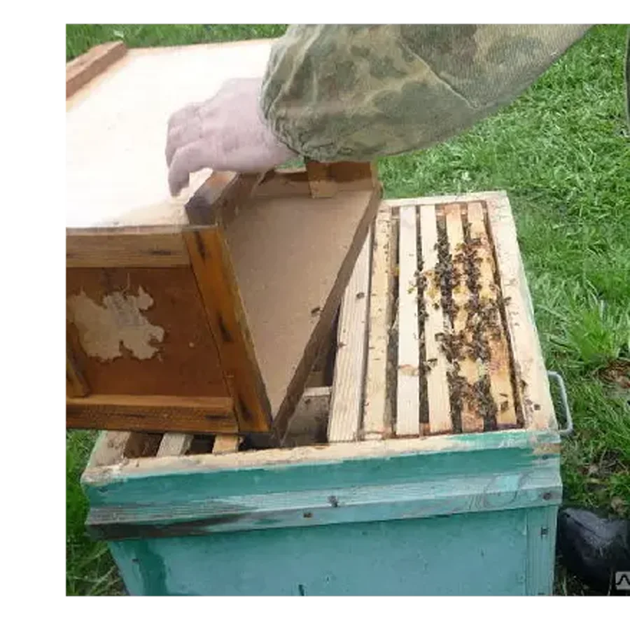 Пчелопакет местная порода