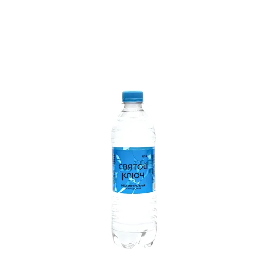Вода минеральная природная столовая питьевая «Святой ключ», газированная, ПЭТ, 0,5 л.