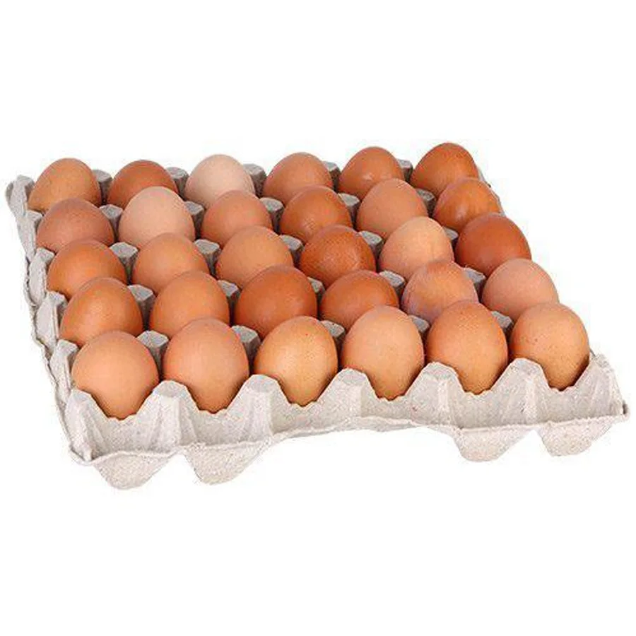Egg 1 category