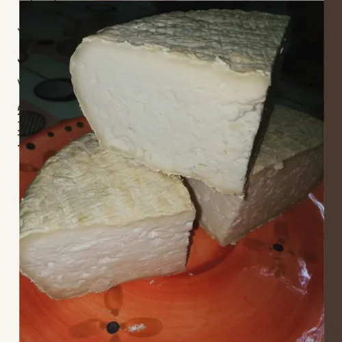 Goat cheese with Camembert mold