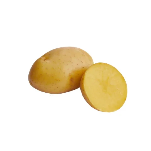 Seed potatoes "VEGA"