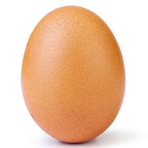 Egg C0.