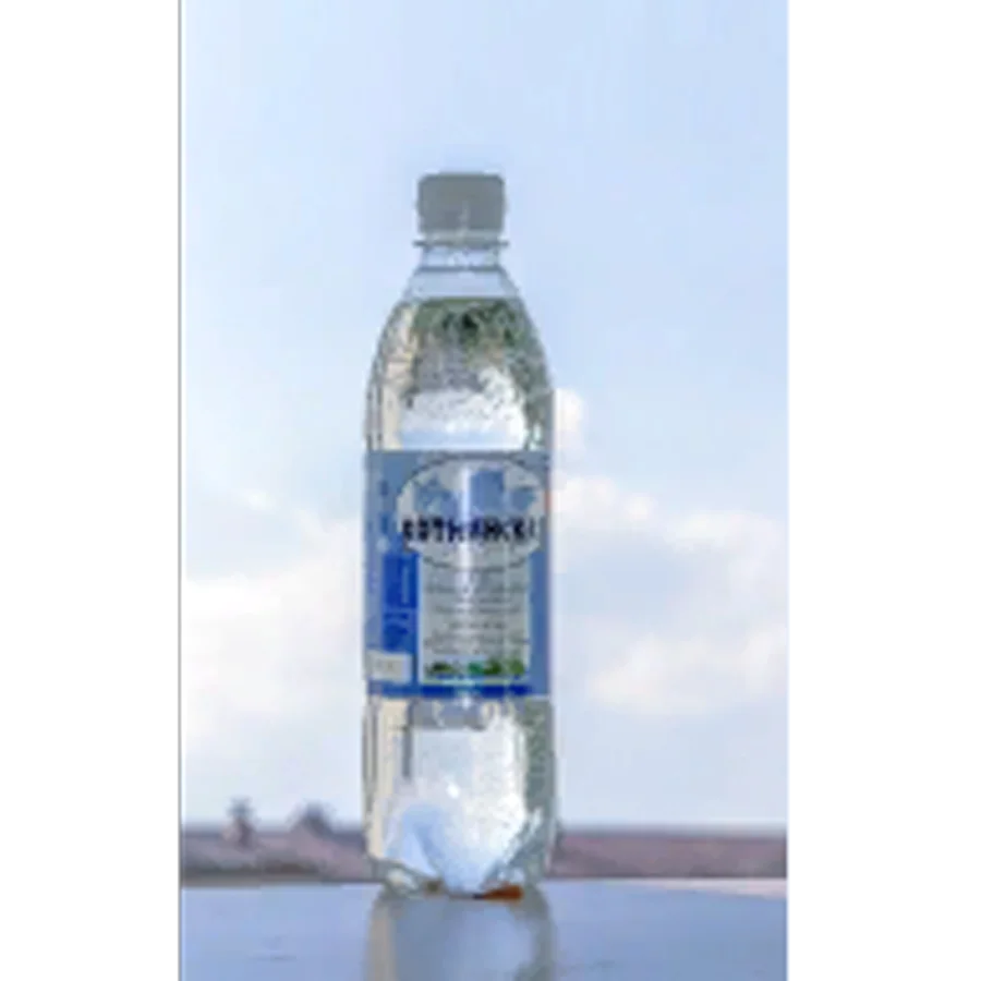 Вода артезианская природная Хотнинская, 0.6л, газ