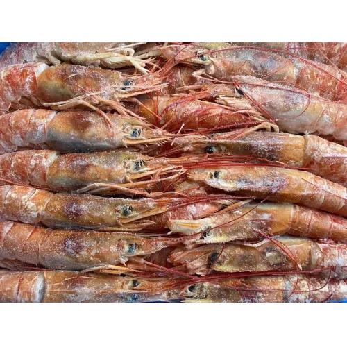 10/20 shrimp (Langustina)