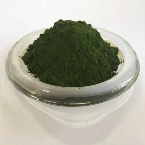 Chlorella powder wholesale