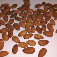 Almond Nonpareil (Golden)