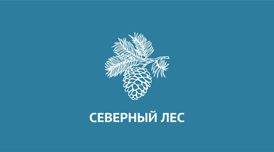 Северный лес