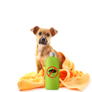 Dog Health and Grooming Products