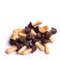 Mushroom mini cookies in chocolate glaze