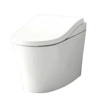       Outdoor Toilet TOTO Neorest LS2 CES 9820#NW