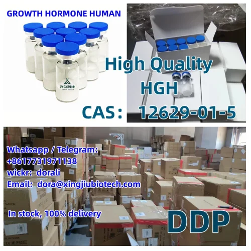Supply Somatotropin 12629-01-5 HGH In Stock