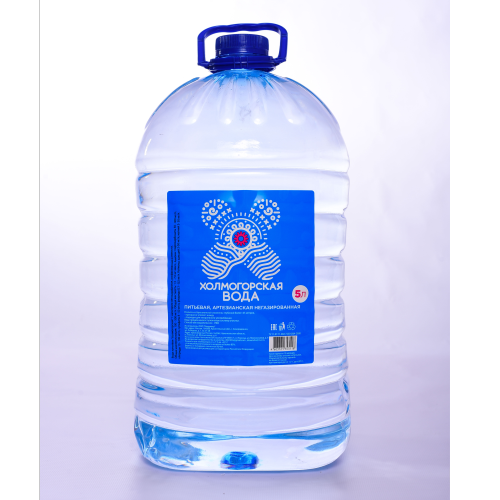 Water drinking holmogorskaya, n / gas, 5l