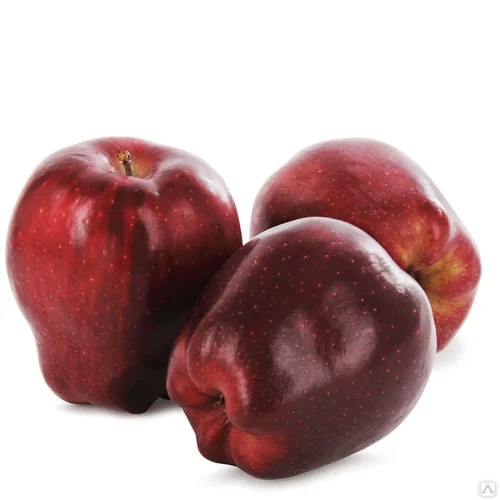 Apple Red Chief 