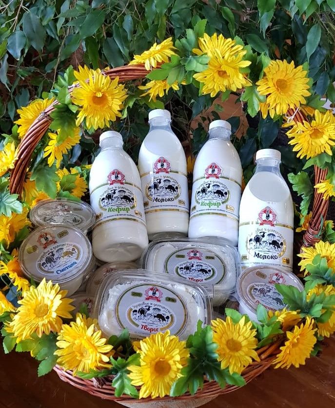 Goose milk