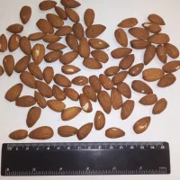 Raw almonds Carmel