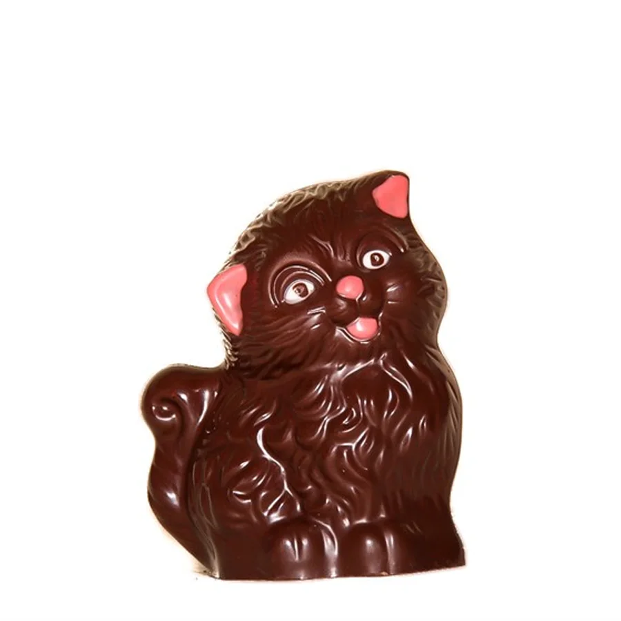 Chocolate cat