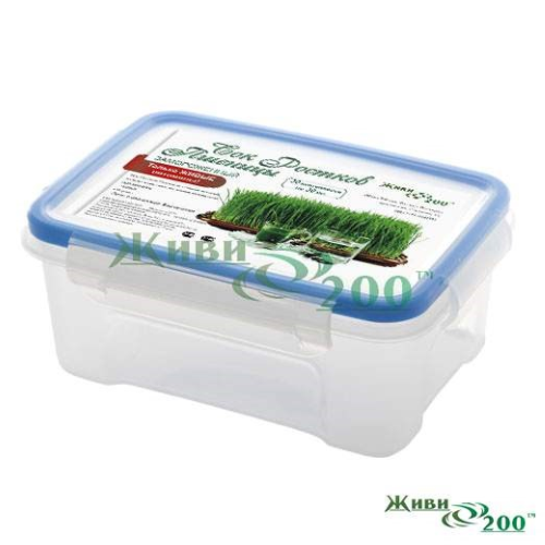 Container for storing juice cubes
