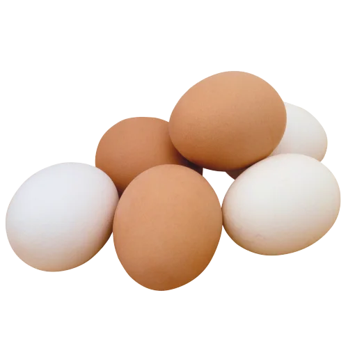 Яйцо куриное пищевое