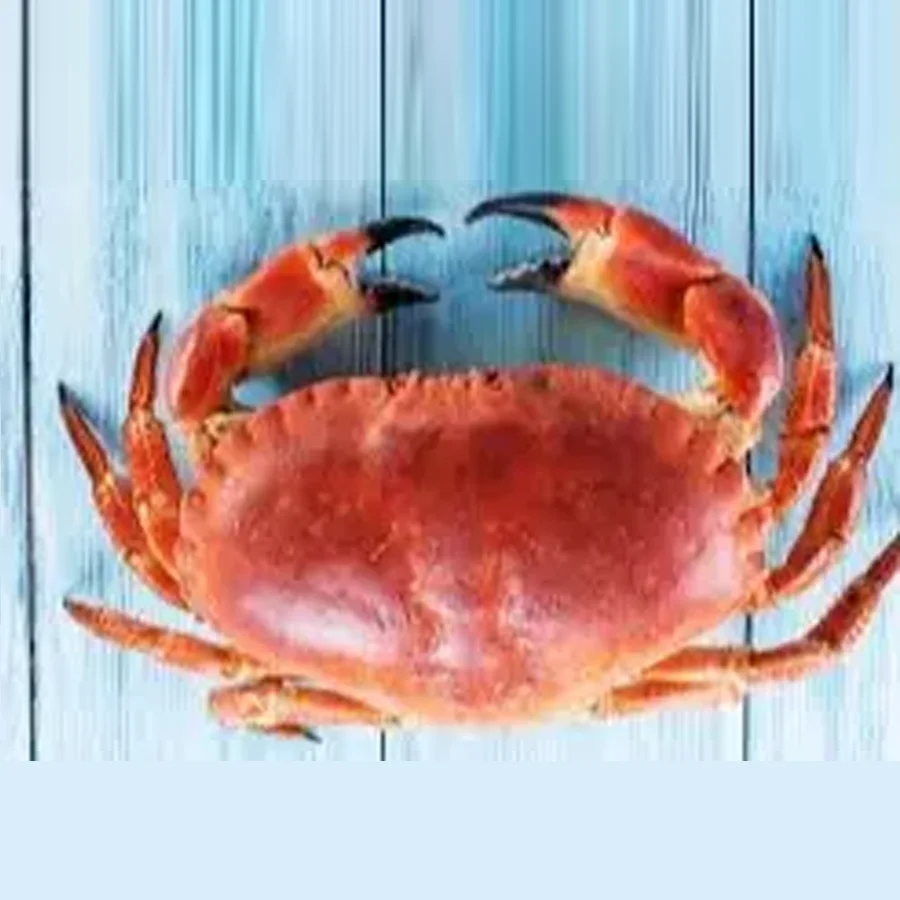 Crab L3.